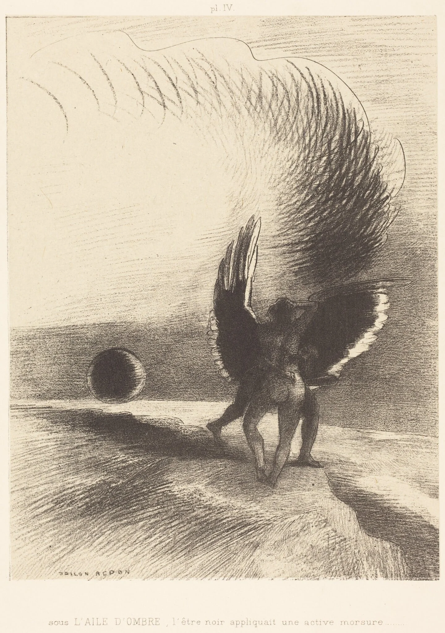 Sous l'aile d'ombre, l'etre noir appliquait une active morsure (Beneath the wing of shadow the black creature was biting energetically)