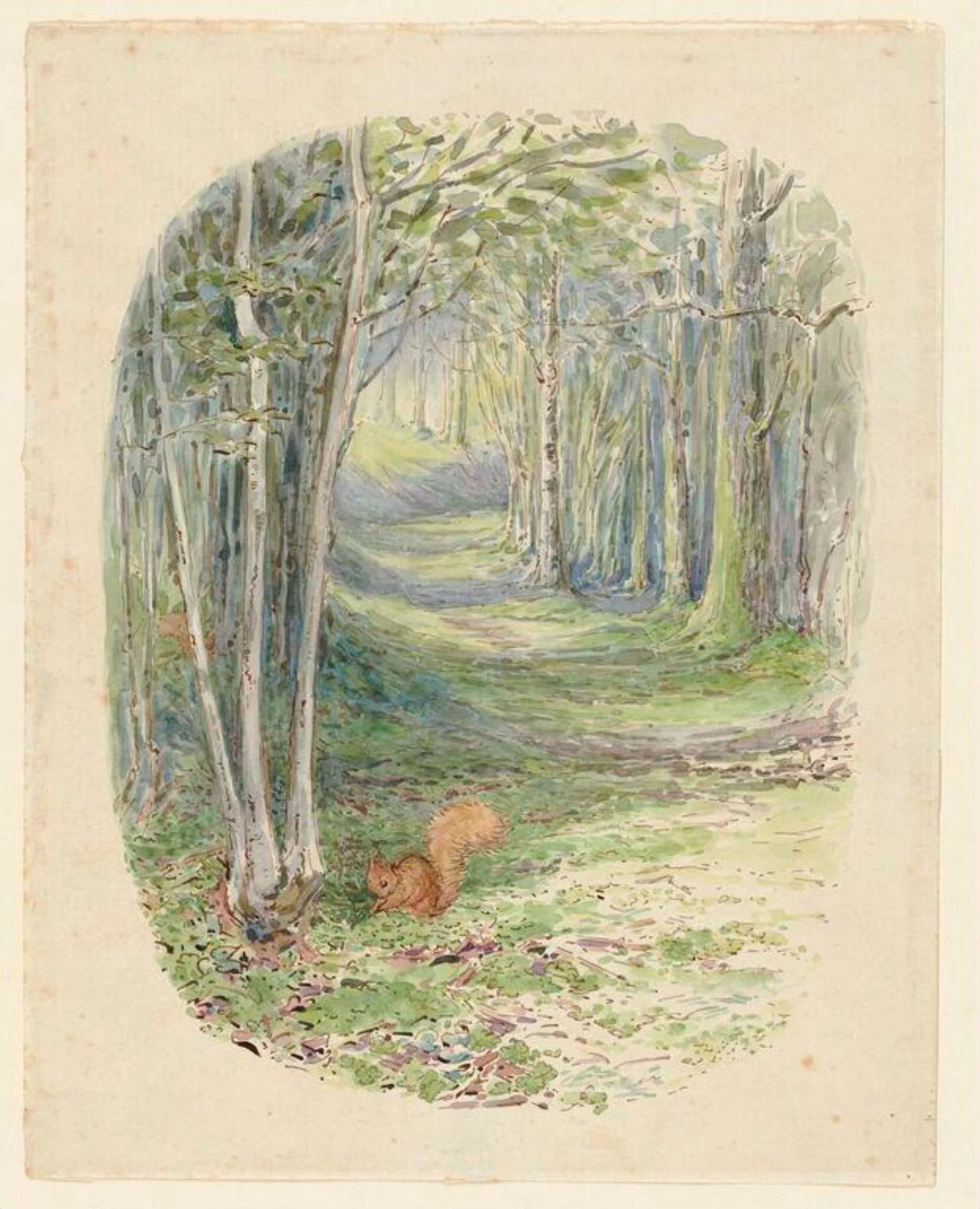Squirrel in a wood, by Beatrix Potter, watercolor, 1903