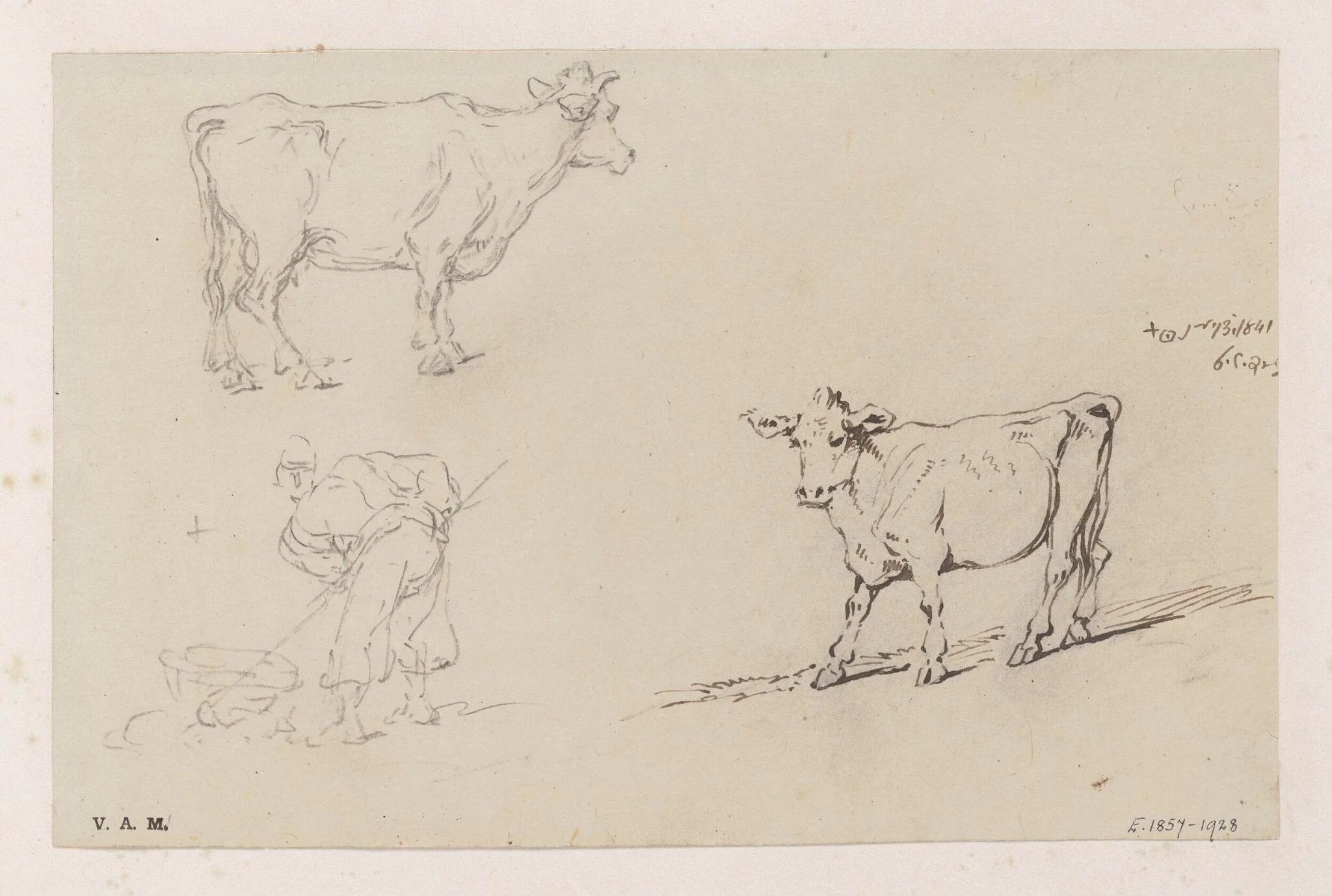 A Chinese man with a pole and basket, and two cows, by George Chinnery, 7