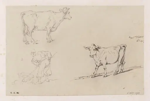 A Chinese man with a pole and basket, and two cows