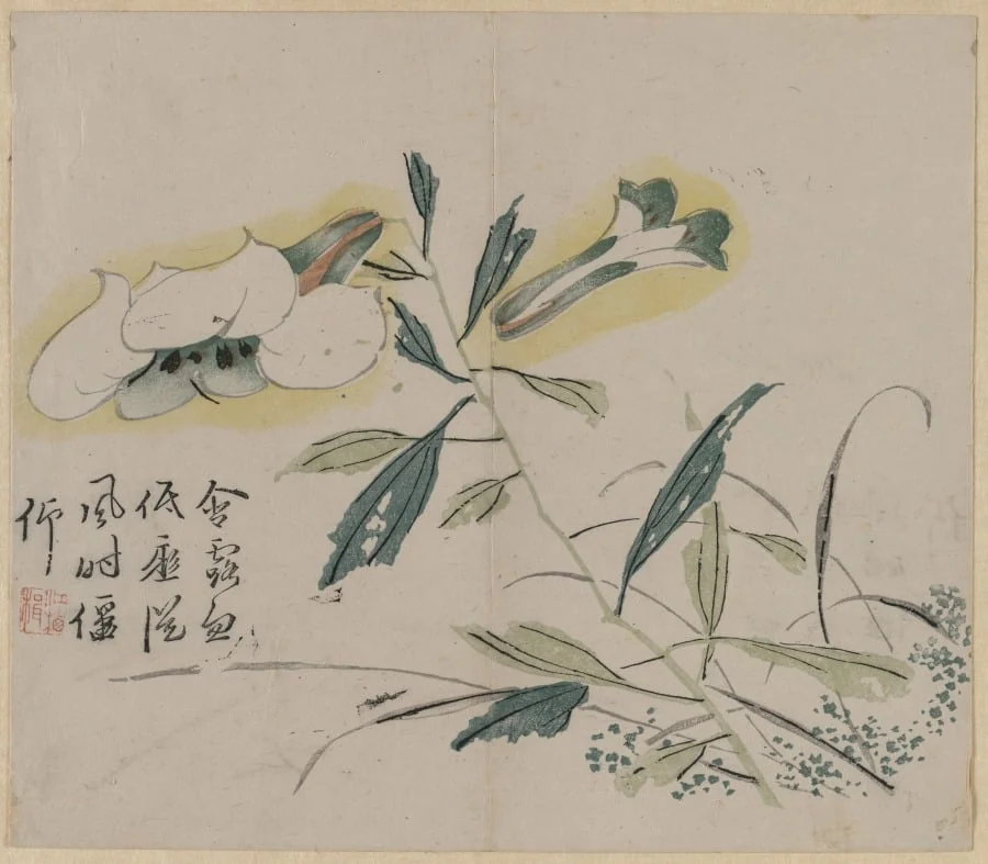 Flowering Lily