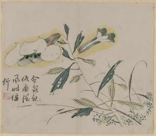Flowering Lily