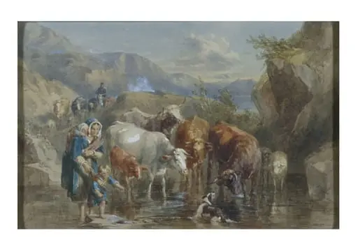 Highland Cattle
