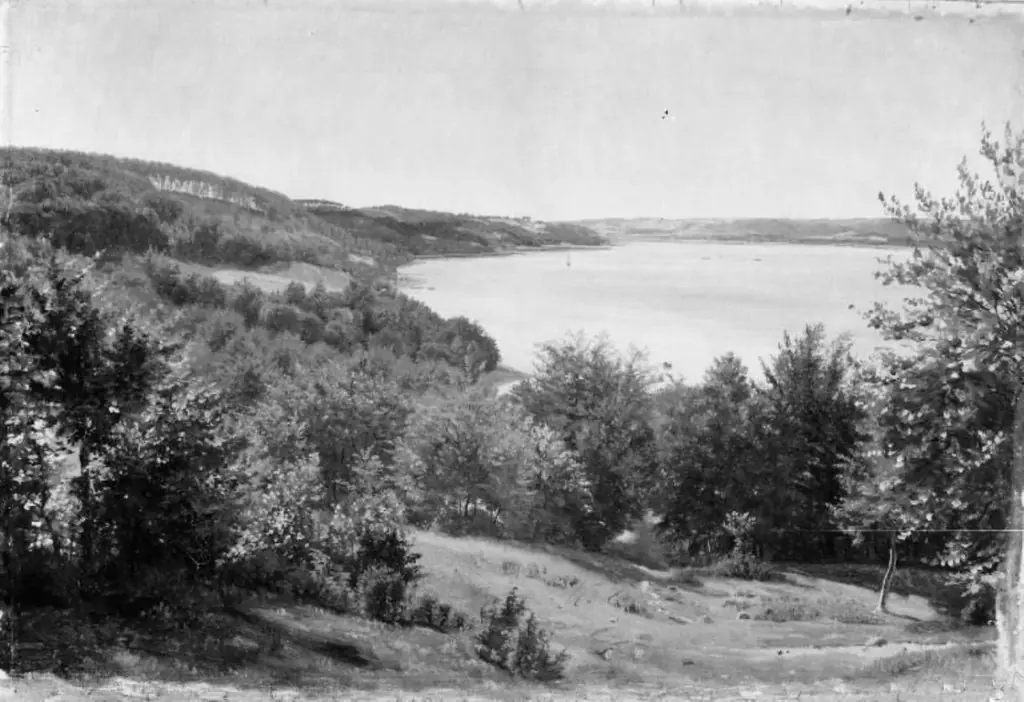 Udsigt over Vejle Fjord