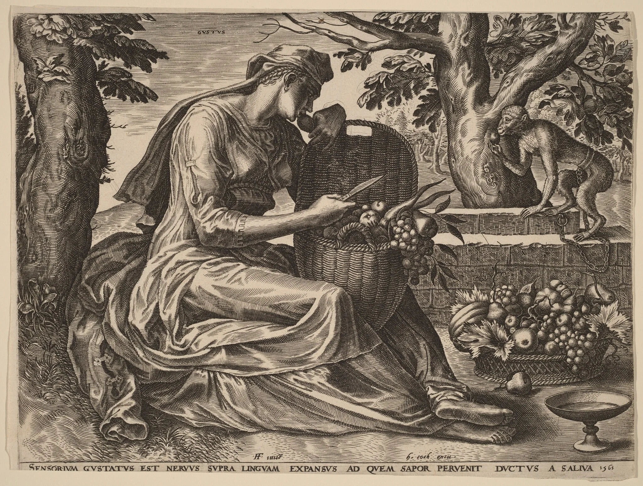 Gustus (Taste), by Cornelis Cort, ink, 1561