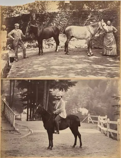 Col. F. G. Oldham (recto, top); Mr. Nowell, Shimla (recto, bottom)