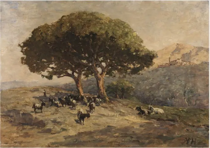 Goats and Pine Trees, South of France