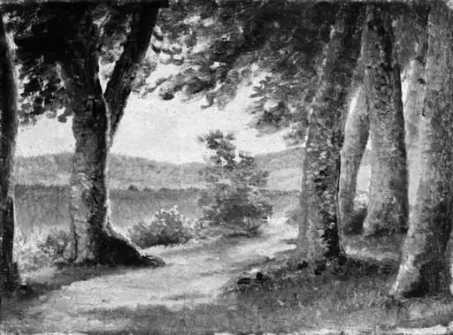 Study of a Wood