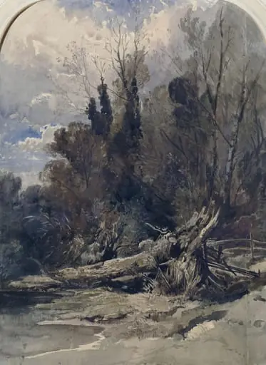 Wood near Bristol