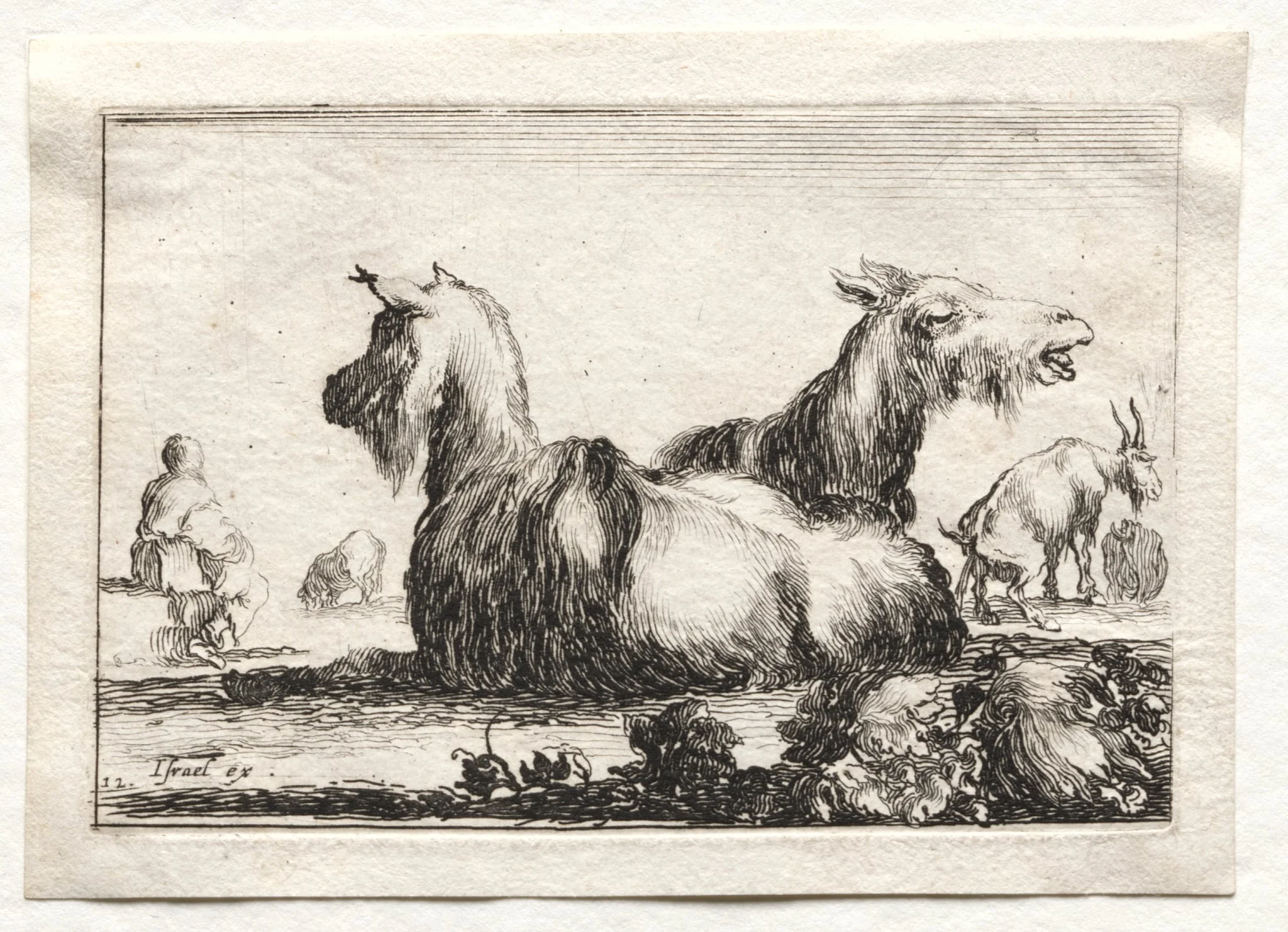 Caprices:  Two Goats, by Stefano Della Bella, 1642