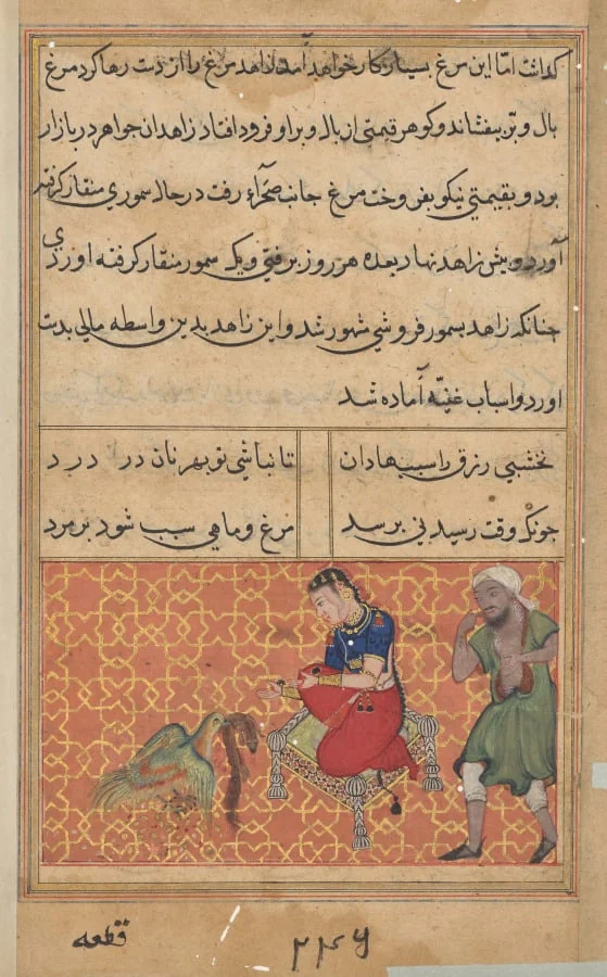 The bird of seven colors brings a sable to the pious man, from a Tuti-nama (Tales of a Parrot): Fifty-second Night, by Unknown, unspecified, 1560