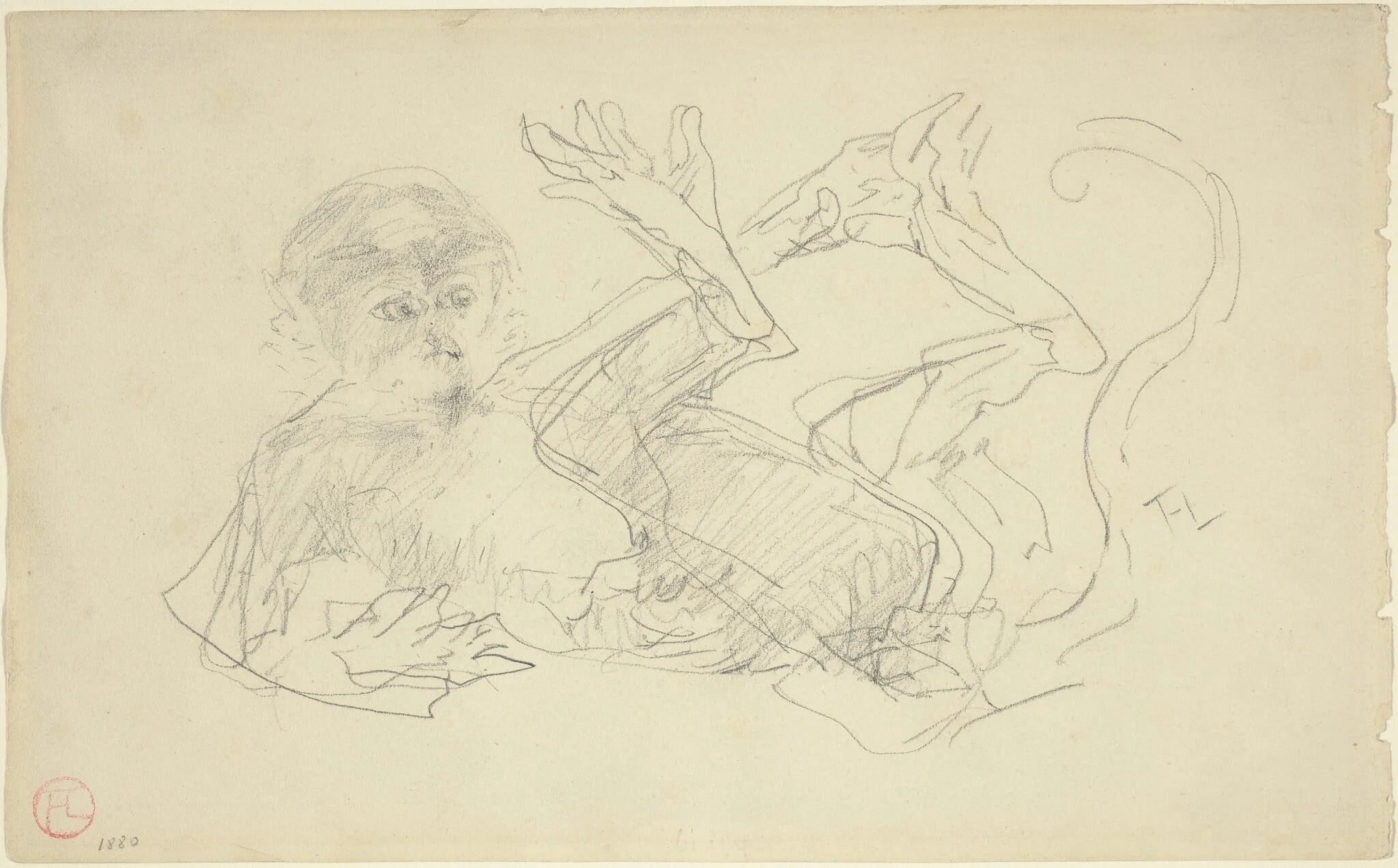 A Monkey Playing on His Back