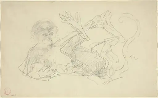 A Monkey Playing on His Back