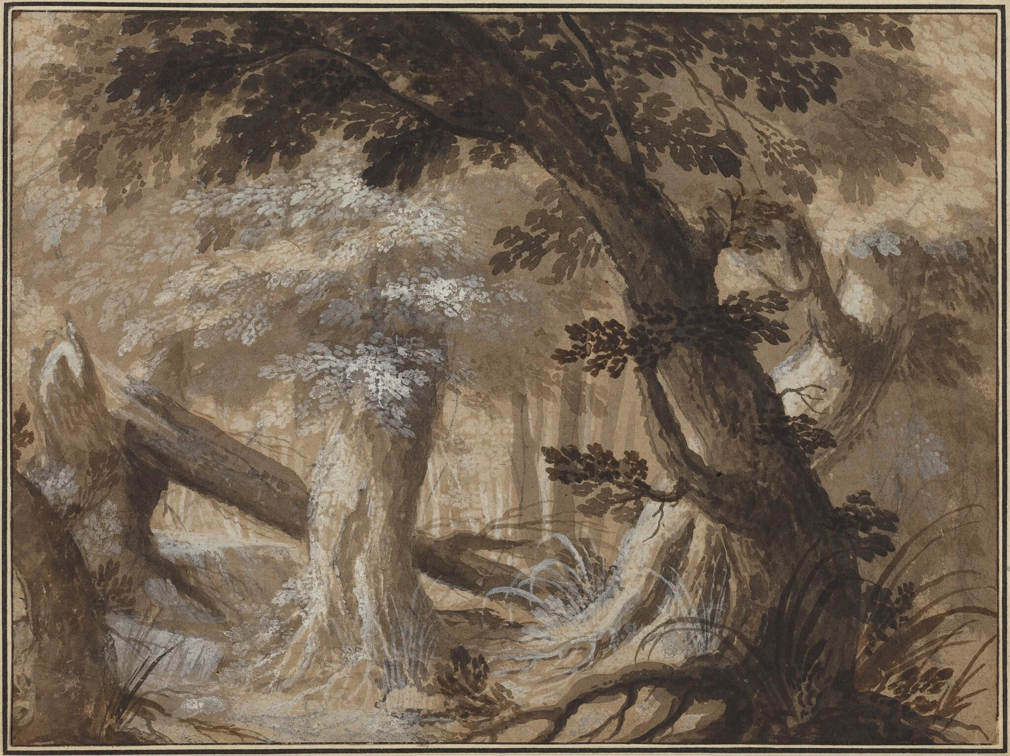 Forest Interior, by Flemish 17th century, ink, 1610
