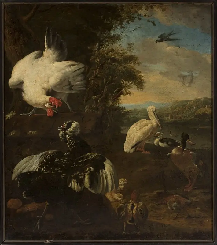 Domestic fowls