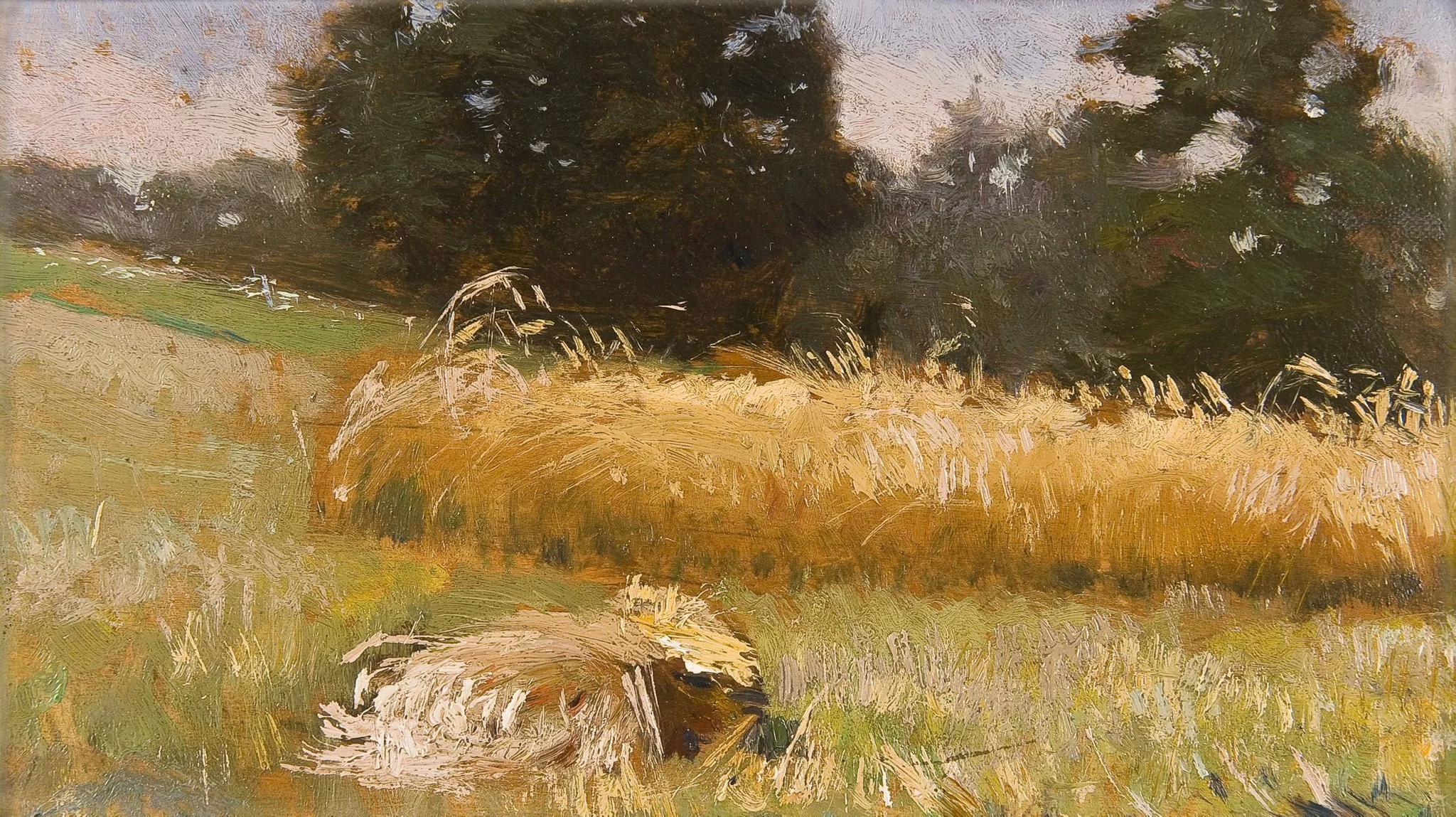 Rye field