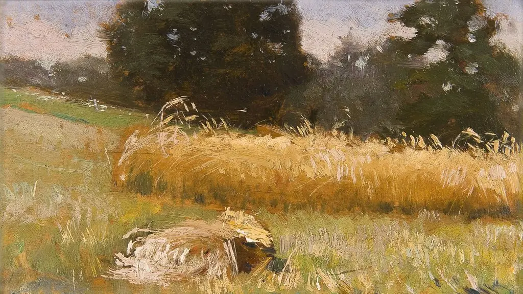 Rye field