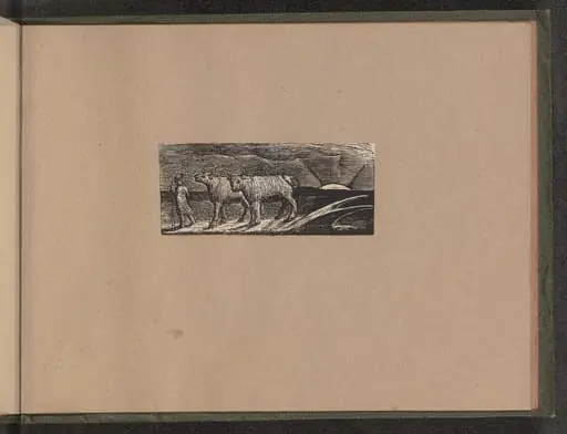 Return of the Shepherd