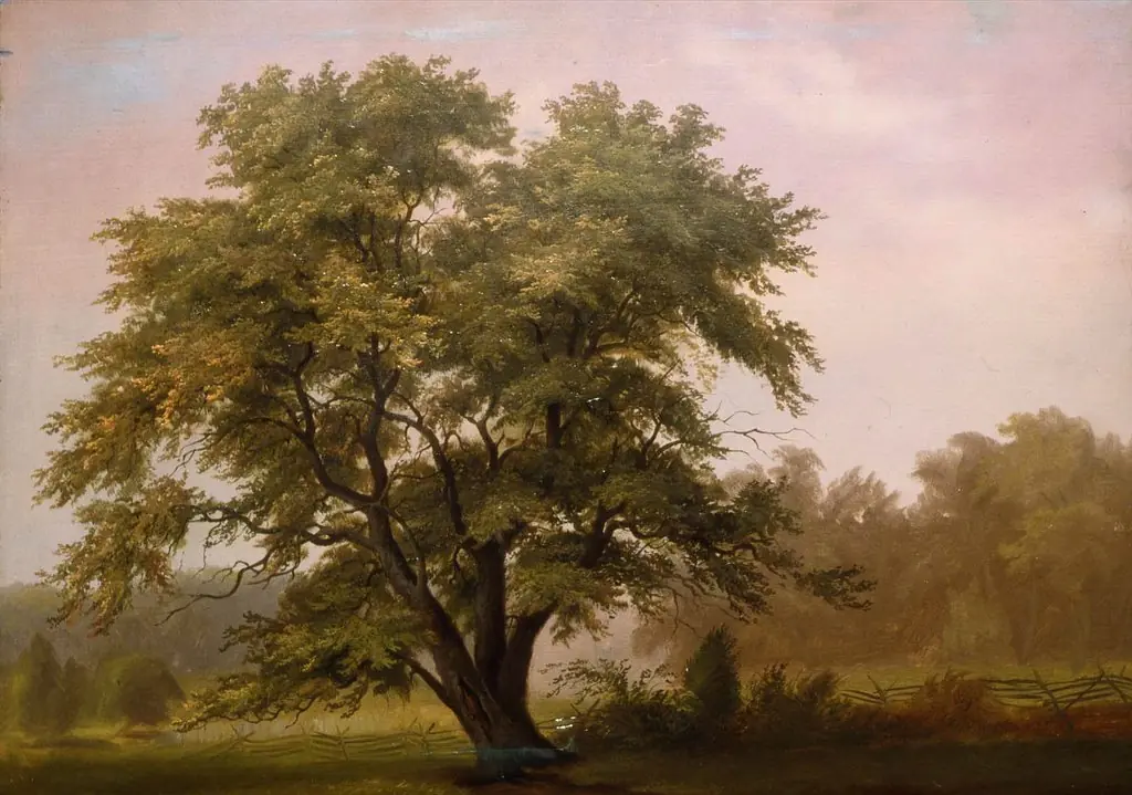 Landscape with Large Tree