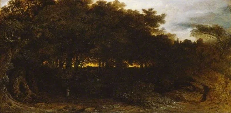 Twilight in the woodlands