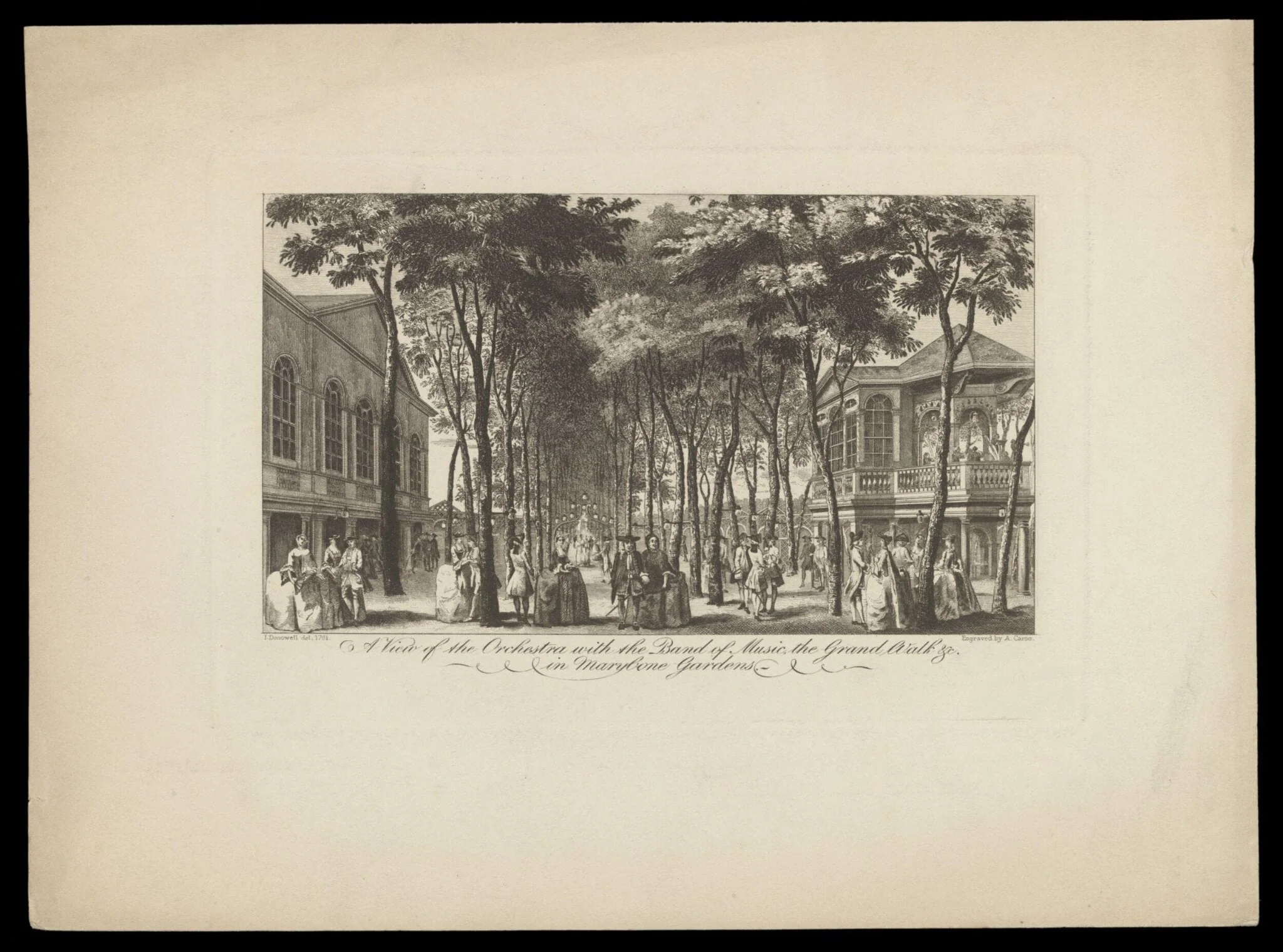 H Beard Print Collection
