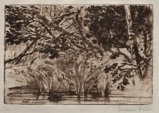 The Mouth of a Brook (Second Plate)