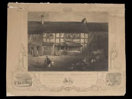 H Beard Print Collection