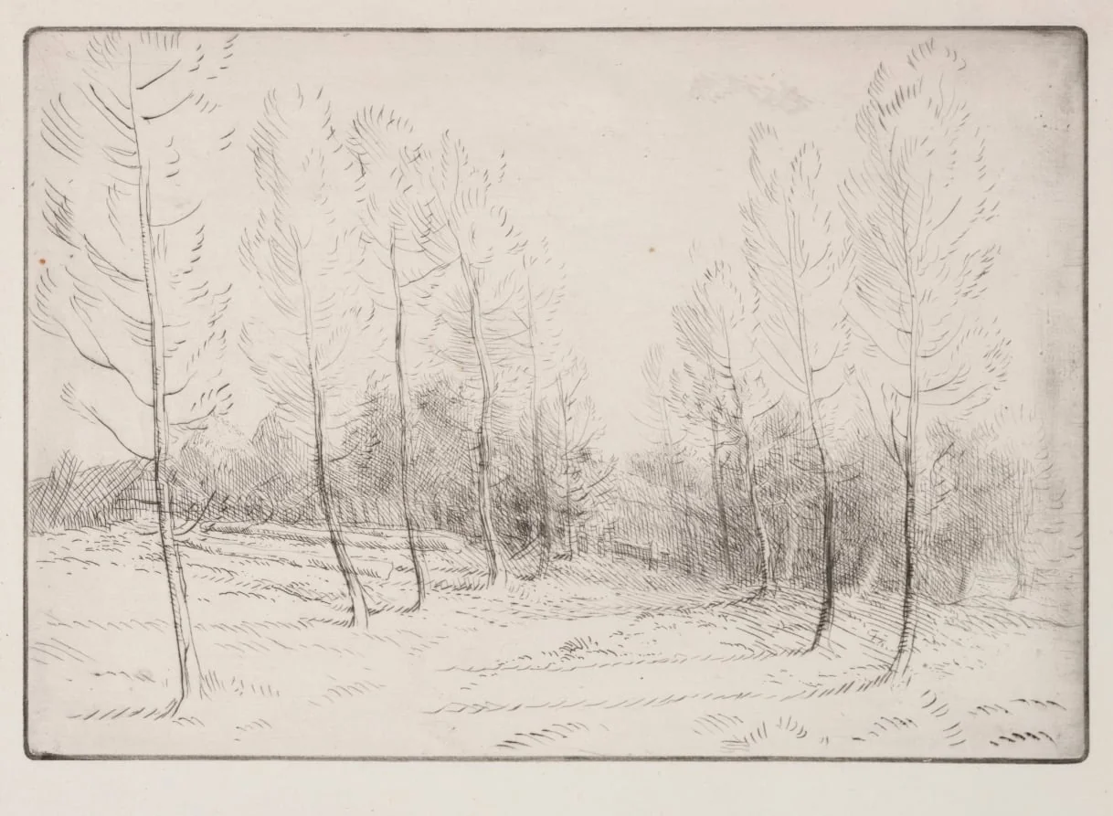 Avenue of Poplars, by Alphonse Legros, 1884