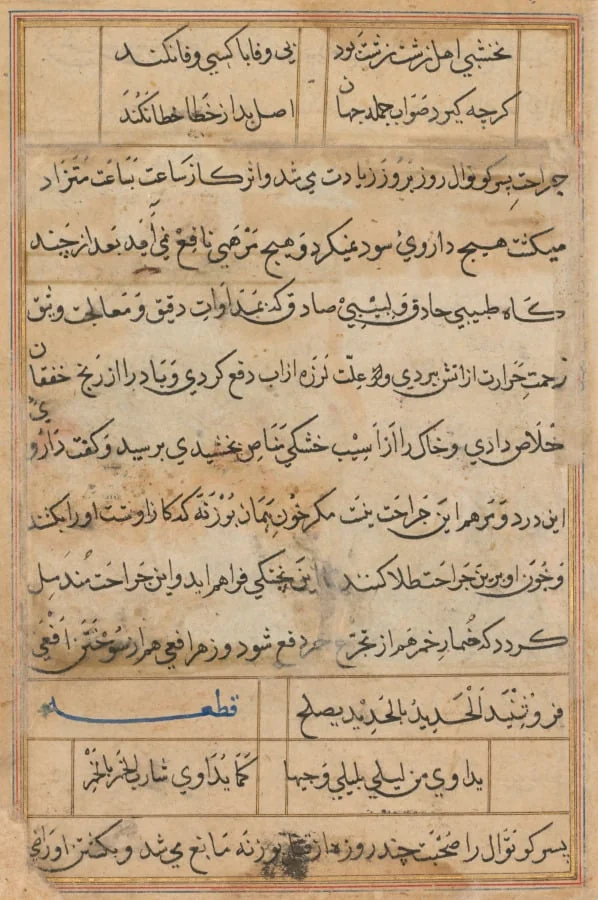 Page from Tales of a Parrot (Tuti-nama): text page, by Unknown, unspecified, 1560