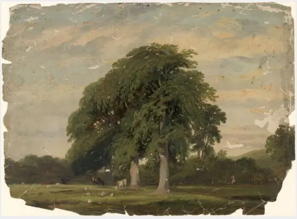 Cattle Grazing by Trees