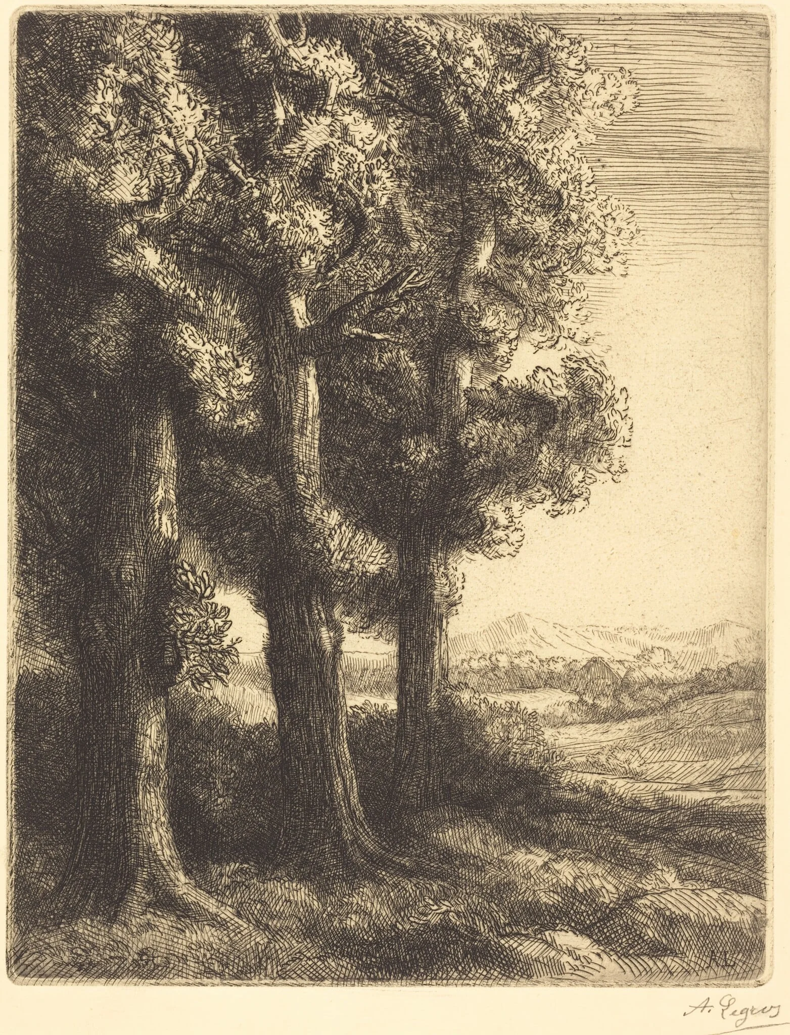 Corner of a Wood (Coin d'un bois)