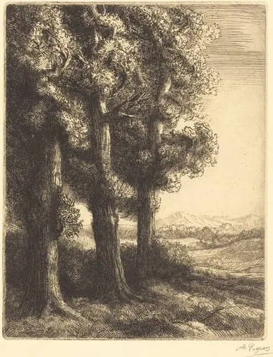 Corner of a Wood (Coin d'un bois)