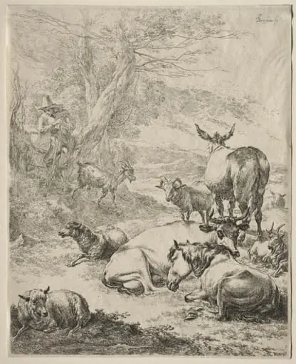 The Herd at Rest
