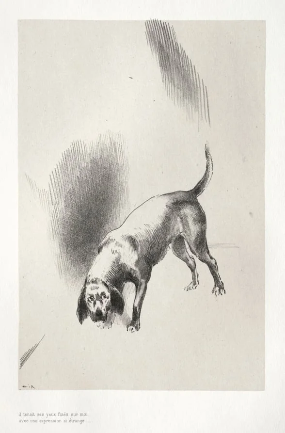 He Fixed His Eyes on Me with an Expression That Was So Strange, by Odilon Redon, 1896