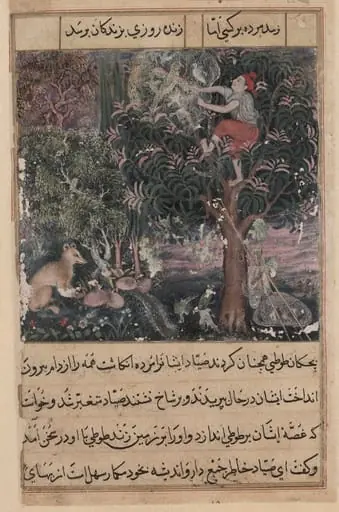The hunter throws away the baby parrots, who pretend to be dead, and captures the mother, from a Tuti-nama (Tales of a Parrot): Fifth Night