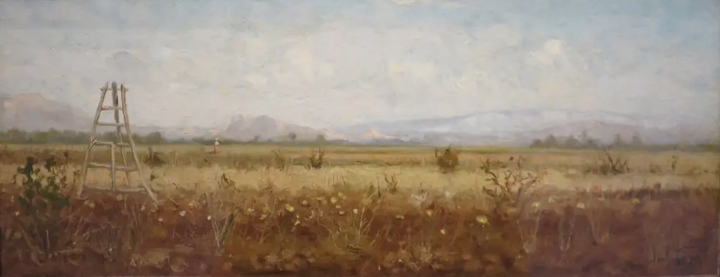 Landscape in Southern France