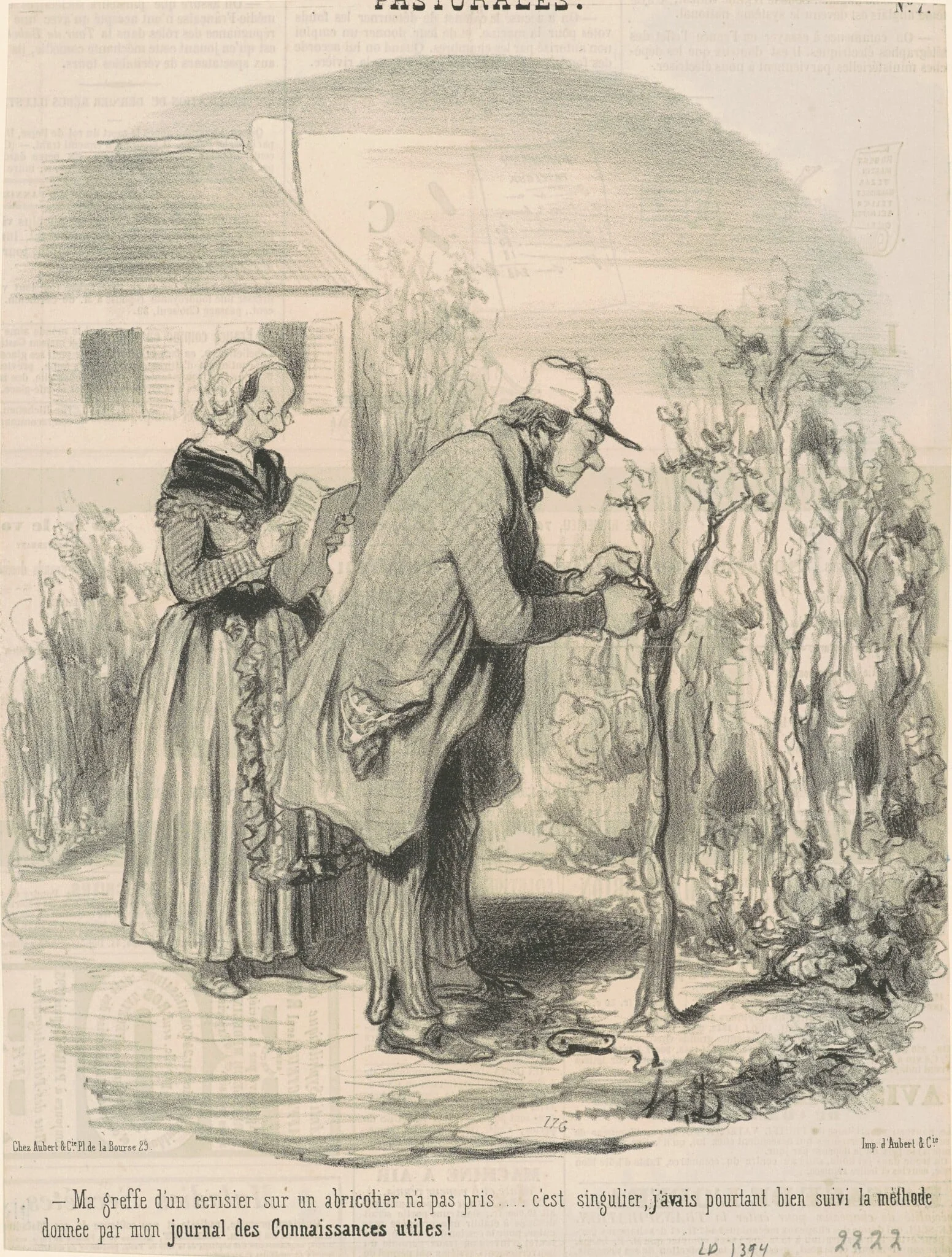 Ma greffe d'un cerisier sur un abricotier n'a pas pris ..., by Honoré Daumier, ink, 1845
