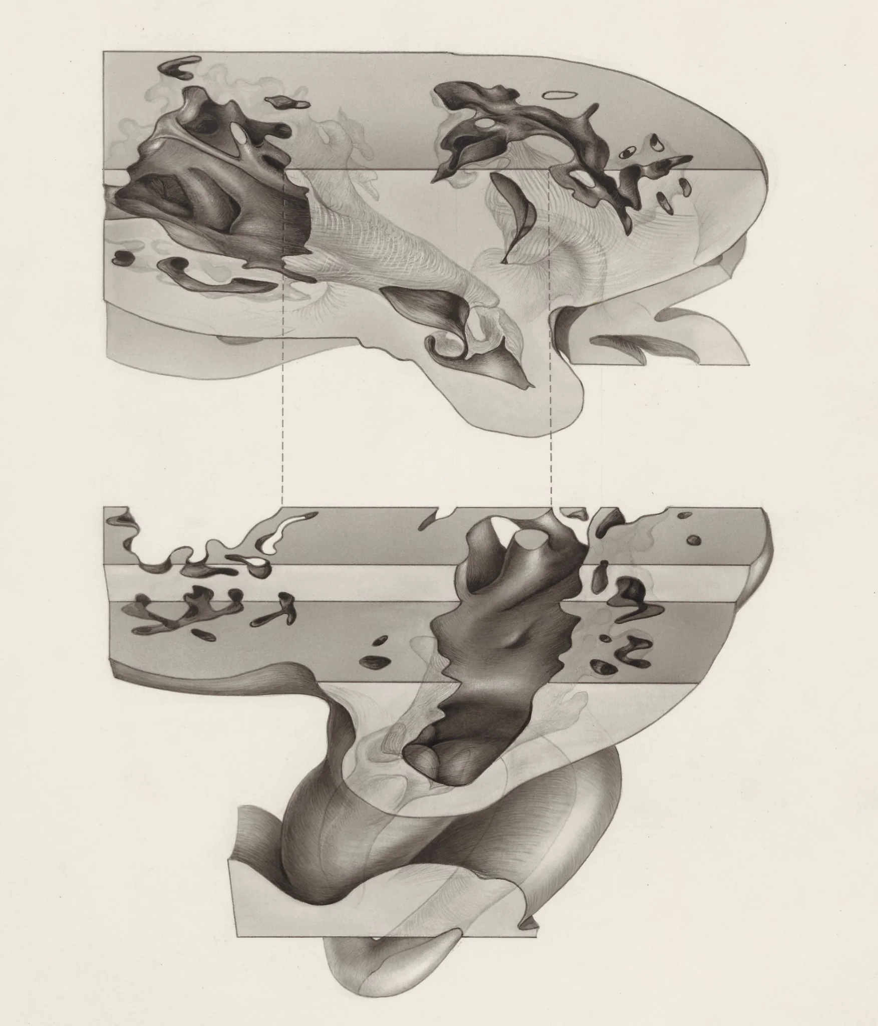 Embryonic heart, by Unknown, 1970