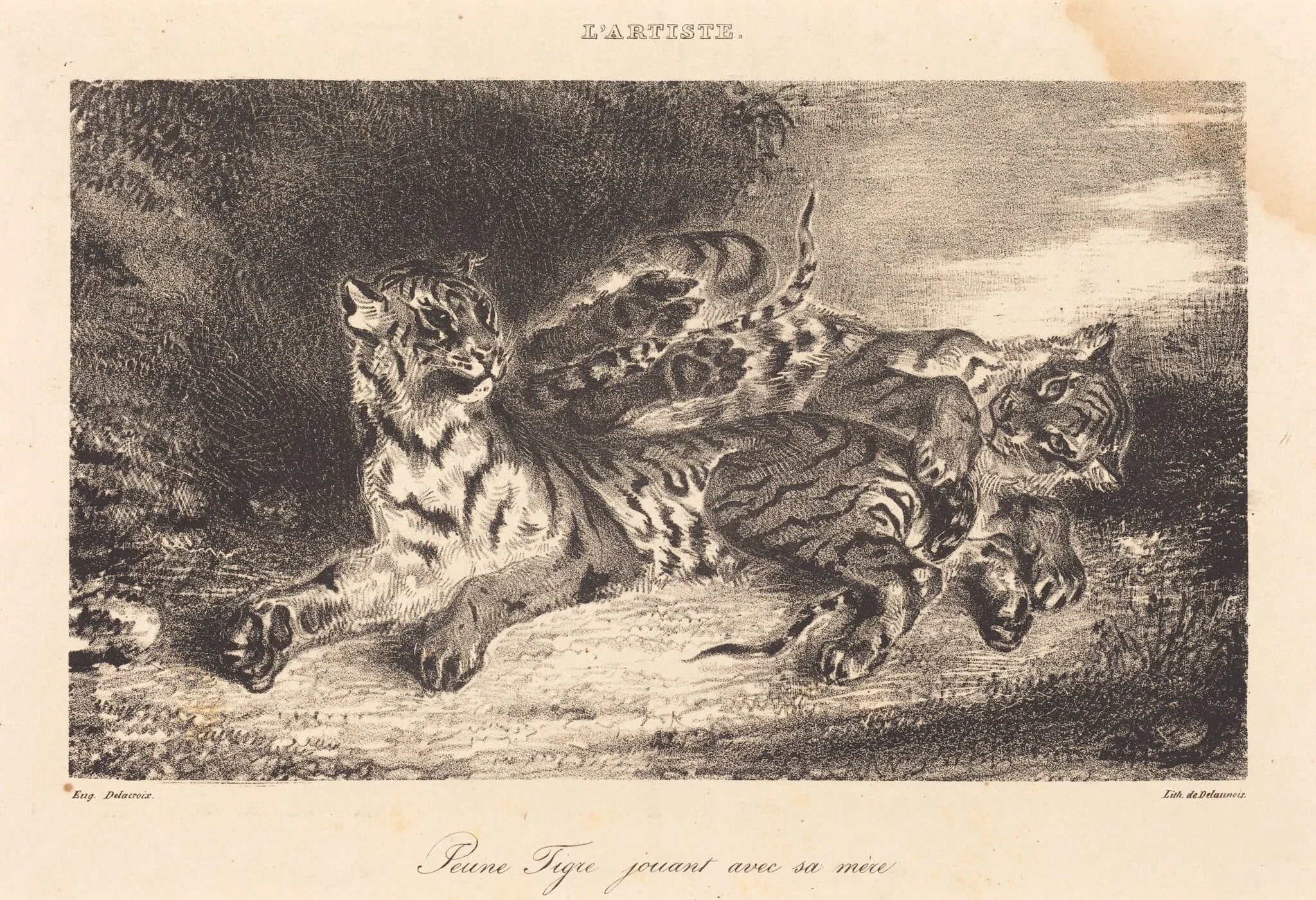 Young Tiger Playing with its Mother (Jeune tigre jouant avec sa mère), by Eugène Delacroix, ink, 1831