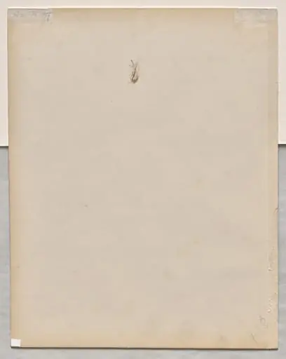 Face in Profile (verso)