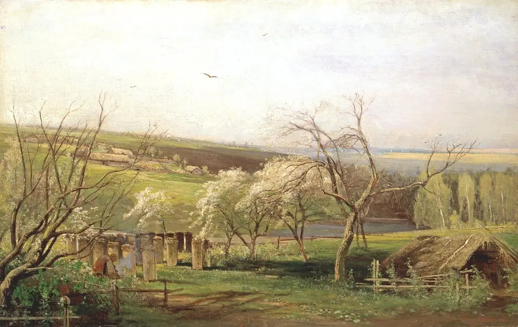 Rustic View
