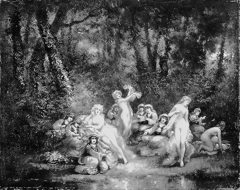 In the Woods