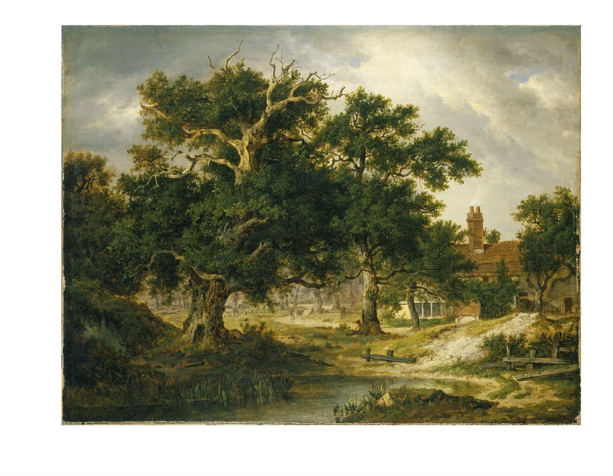 Sir Philip Sidney's Oak