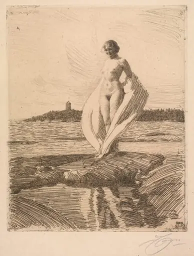 The Swan