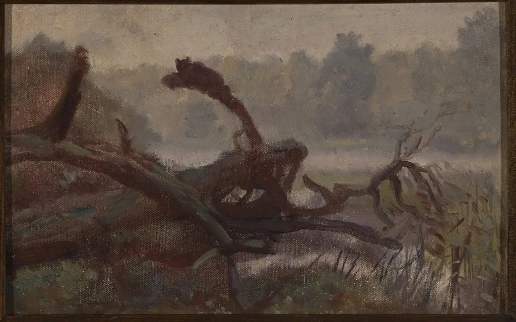 Deep forest – Windthrows, sketch for a painting