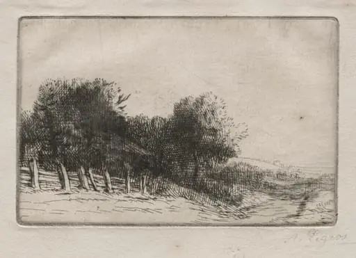 Landscape (Un Paysage)