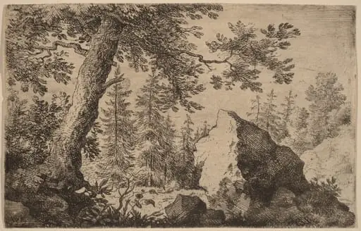 Boulder in the Woods