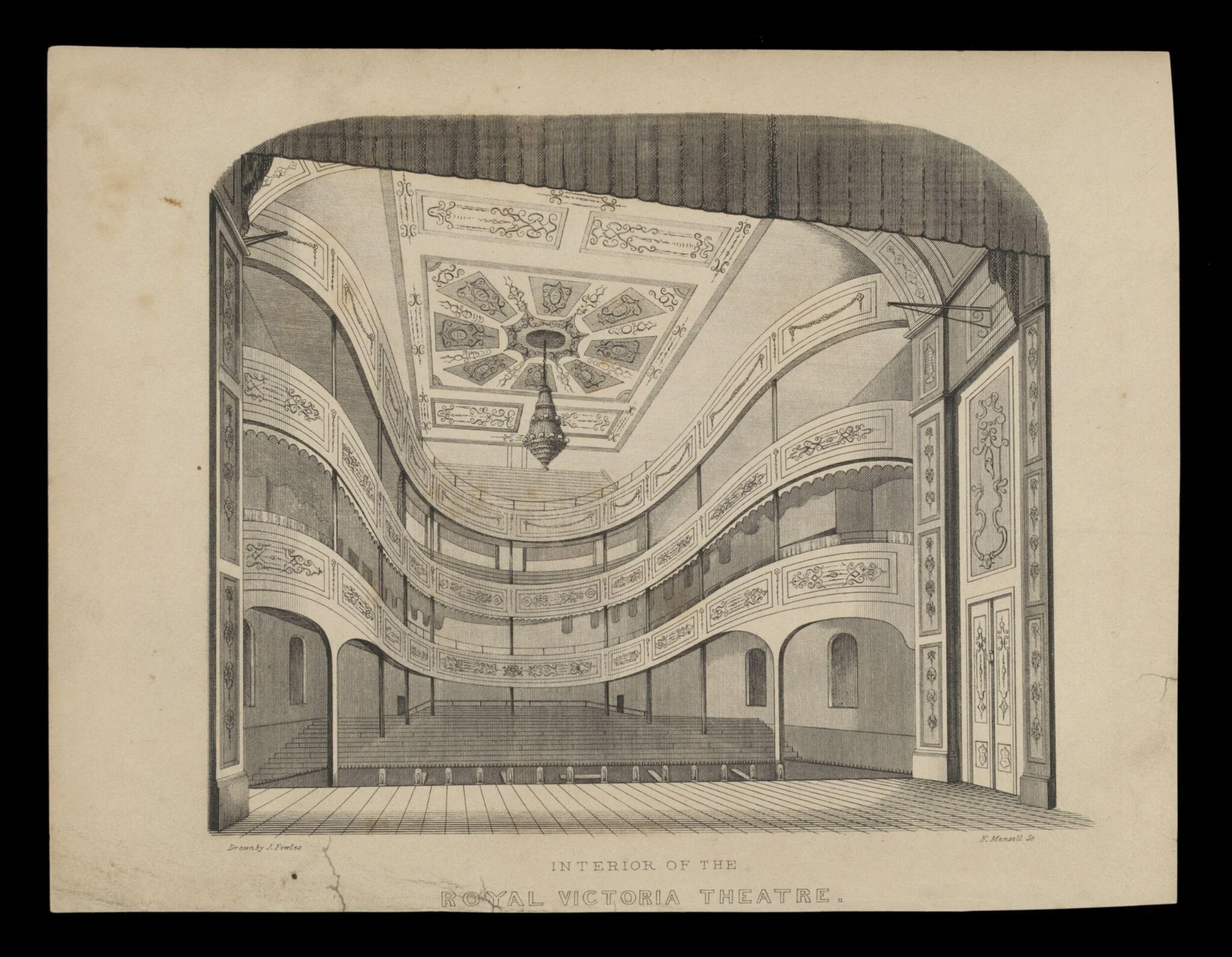 H Beard Print Collection