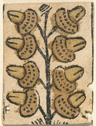 Playing Card