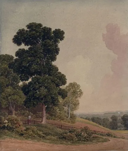 Landscape with sandy road and trees